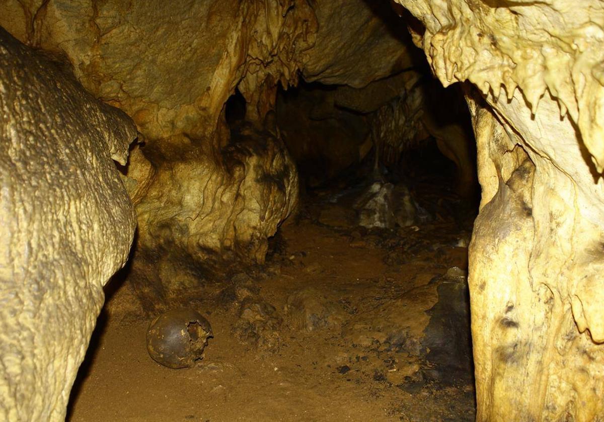 Pare de un cráneo en las galerías altas de la Cueva de Ardales.