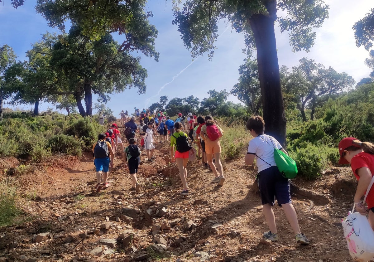 Programa de senderismo escolar en Estepona.