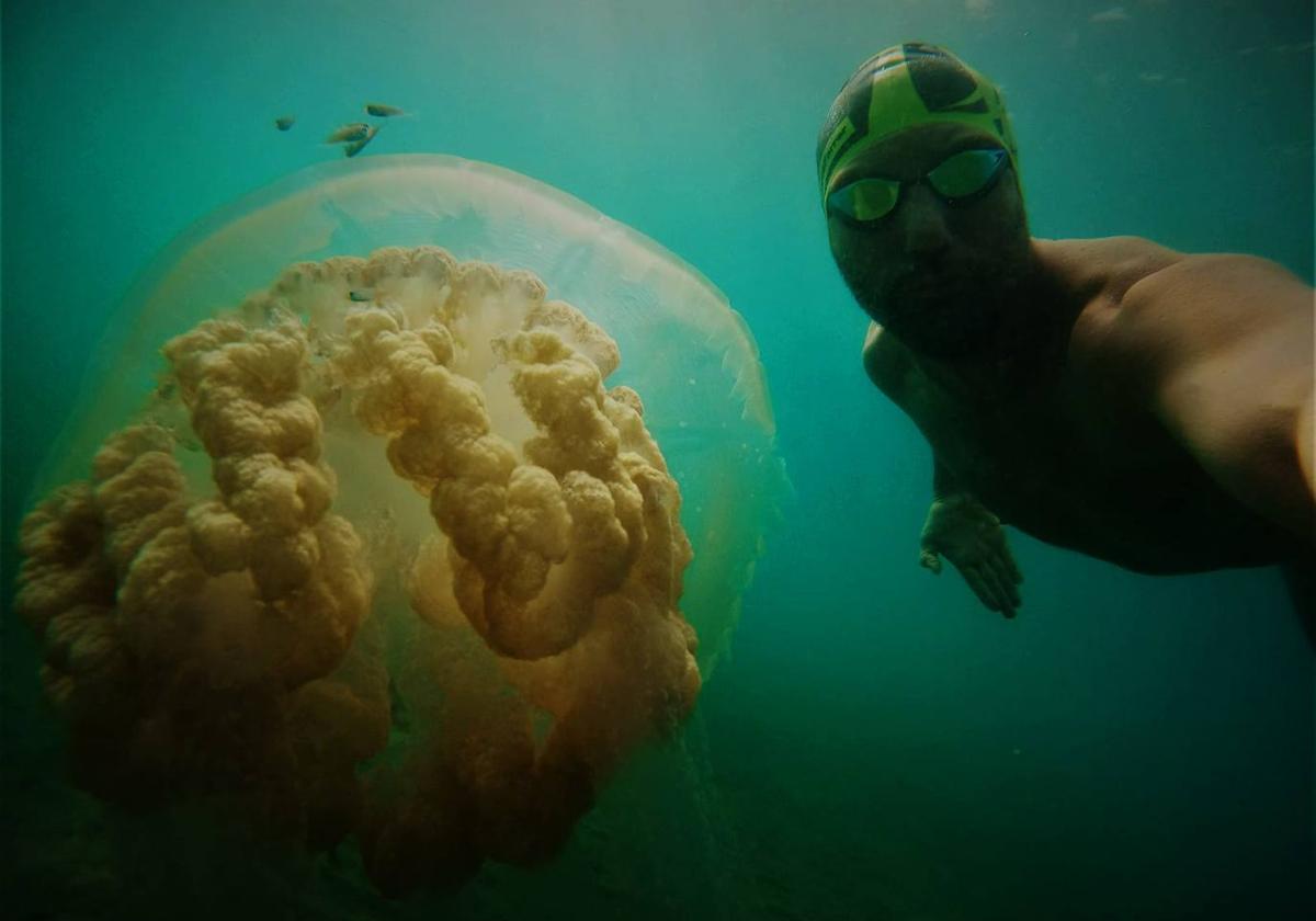 Una de las medusas vistas en la costa de Rincón de la Victoria