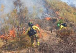 Bomberos actuando en el incendio de este martes.