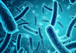 ¿Qué es el botulismo? Estos son sus síntomas y tratamiento