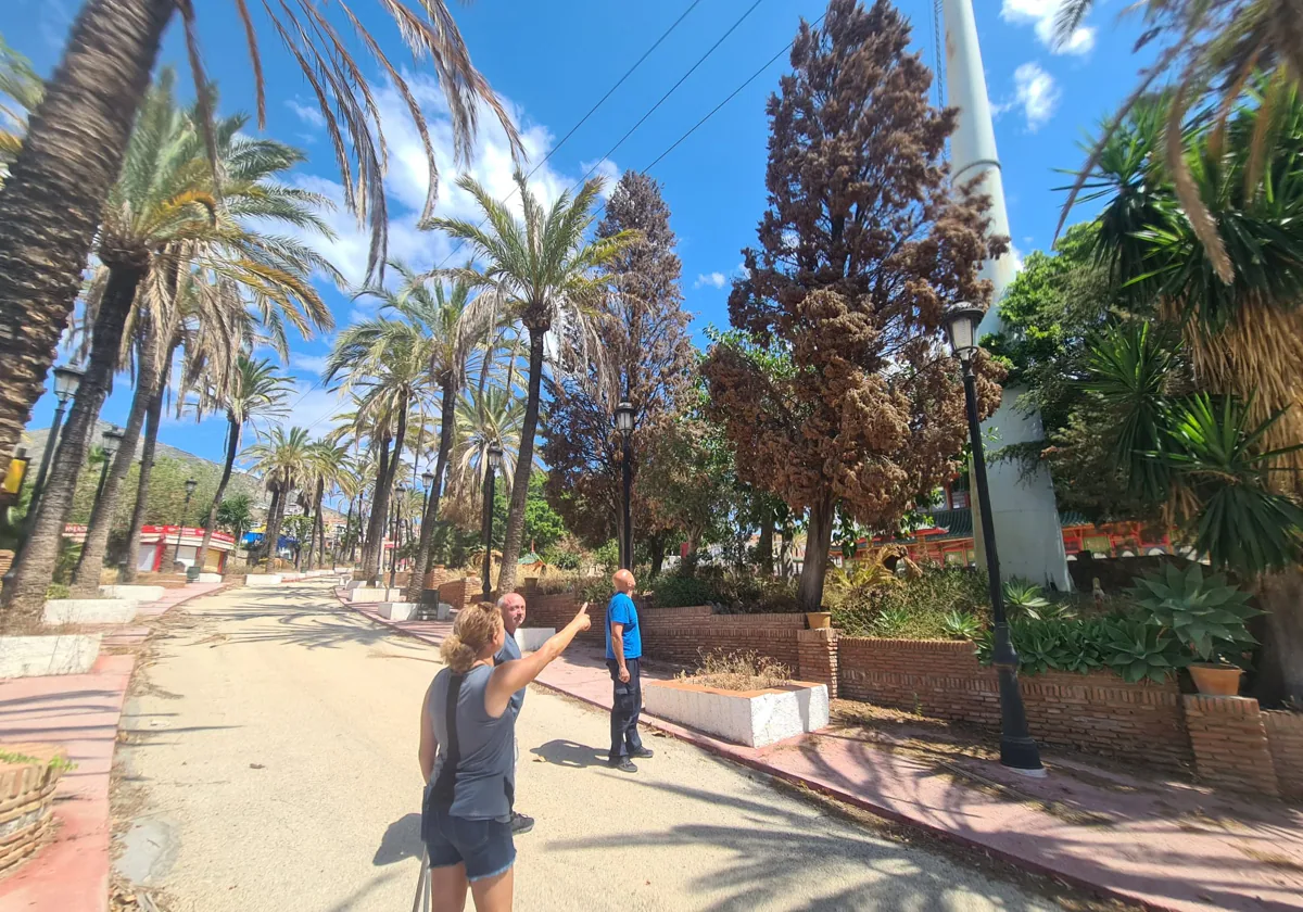 Ayuntamiento de Benalmádena