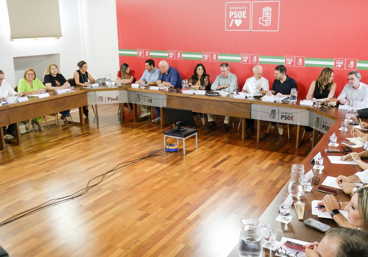 Espadas presidió la reunión de la Comisión Ejecutiva Regional del PSOE-A