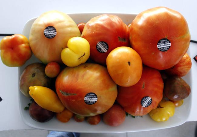 Tomates de la variedad 'huevo de toro'.