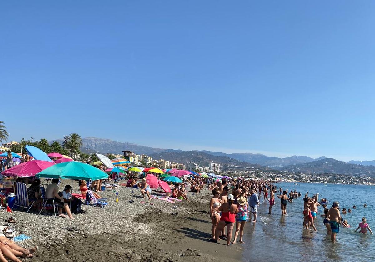 Torre del Mar pondrá en marcha una campaña de sensibilización pesquera