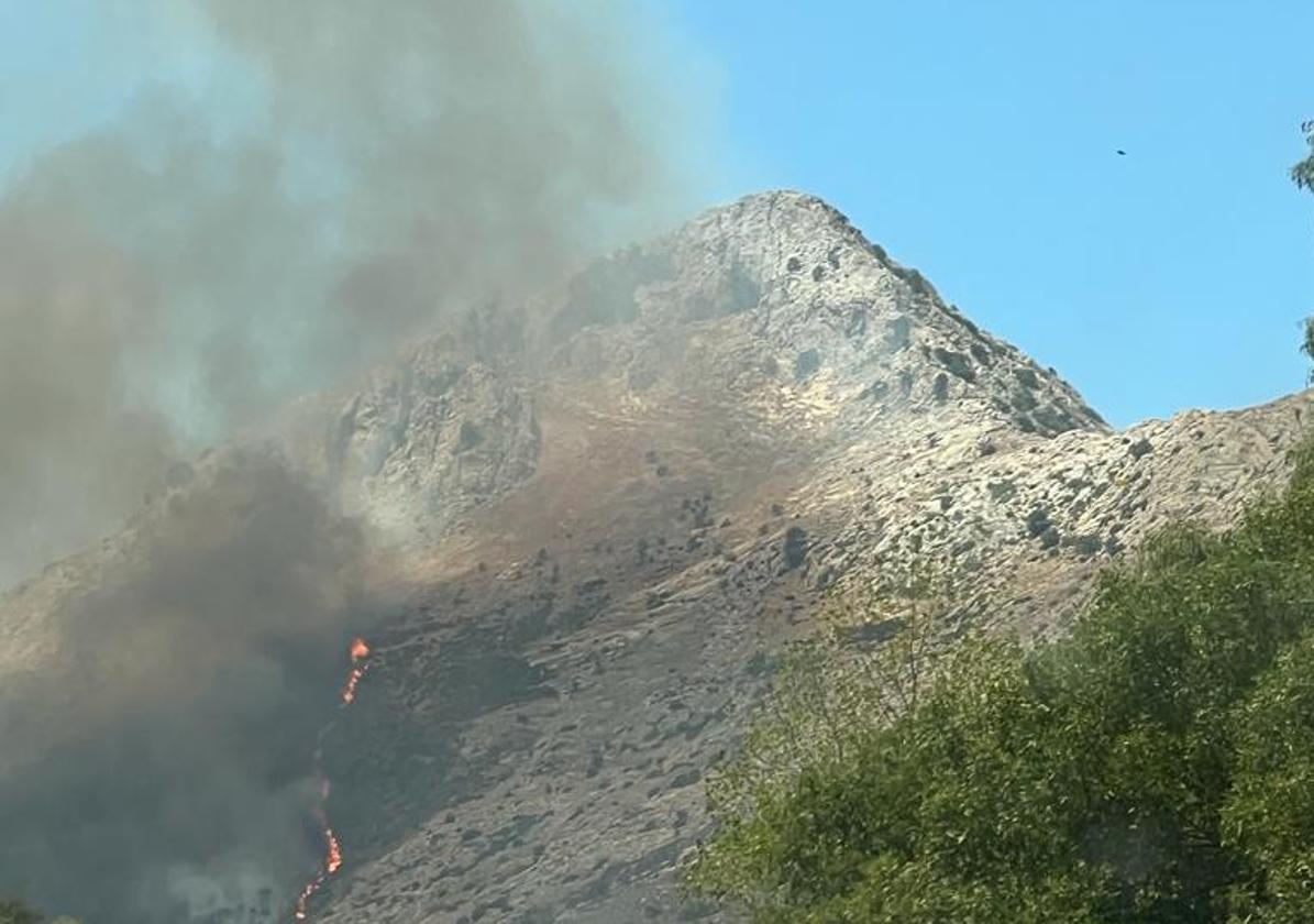 Lugar del incendio.