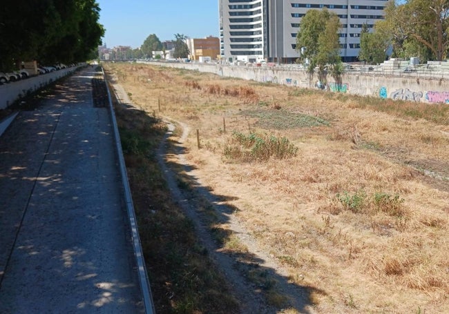 Aspecto que presenta el tramo norte del cauce, donde se ha secado el riachuelo que se habilitó.