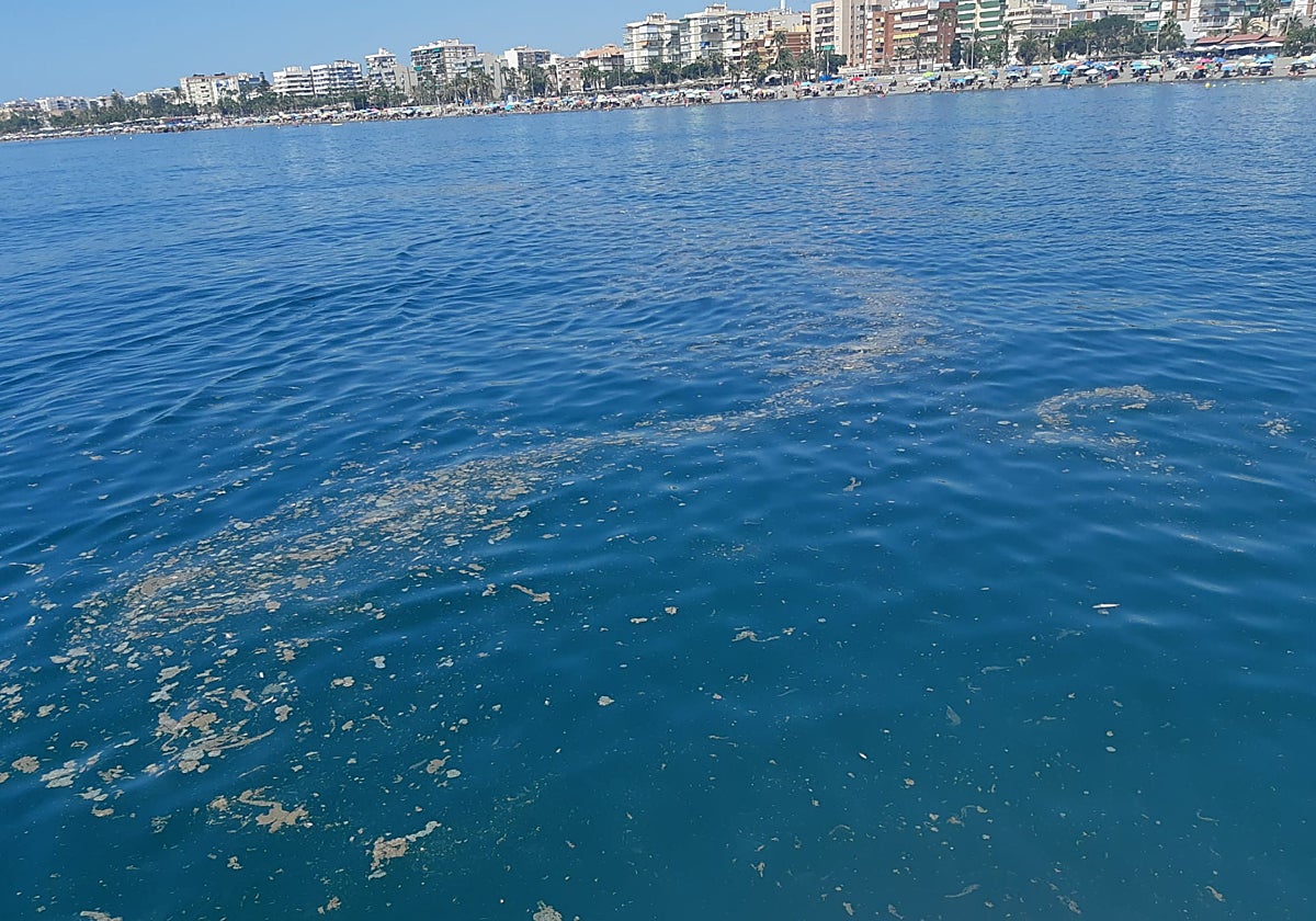 Suciedad frente a la playa de Torre del Mar, este verano.