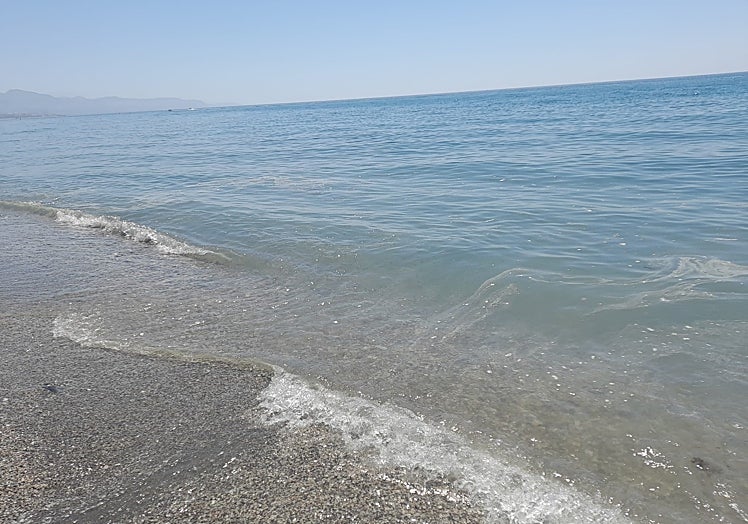 Imagen principal - Arriba, suciedad en la playa torroxeña de El Peñoncillo; abajo a la izquierda, natas en la playa de Torre del Mar, y a la derecha, una medusa gigante capturada por un barco 'quitanatas' para ser llevada a alta mar.