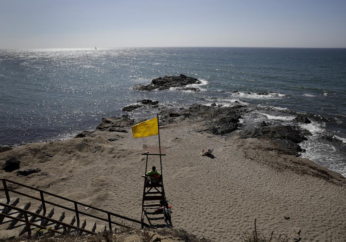 ¿Qué significan los nuevos símbolos geométricos de las banderas en algunas playas de Málaga?
