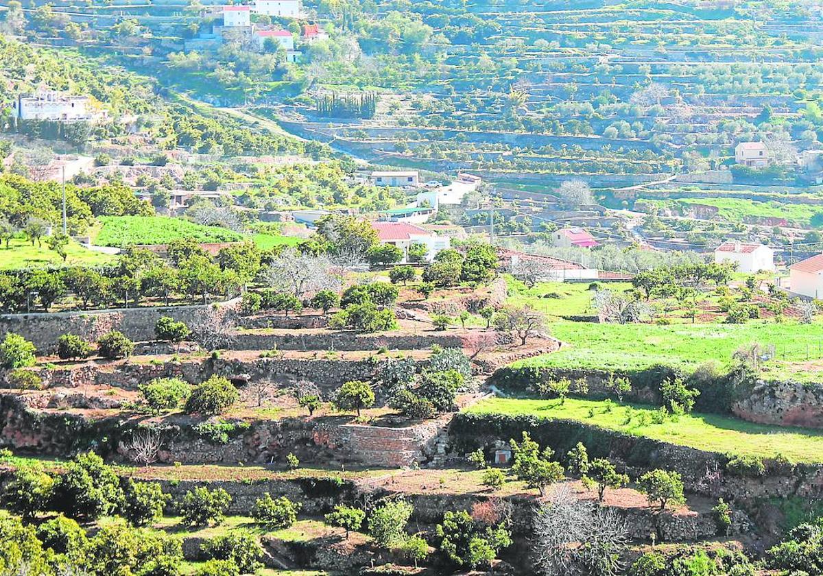 La Sierra de las Nieves quiere revitalizar su sector primario