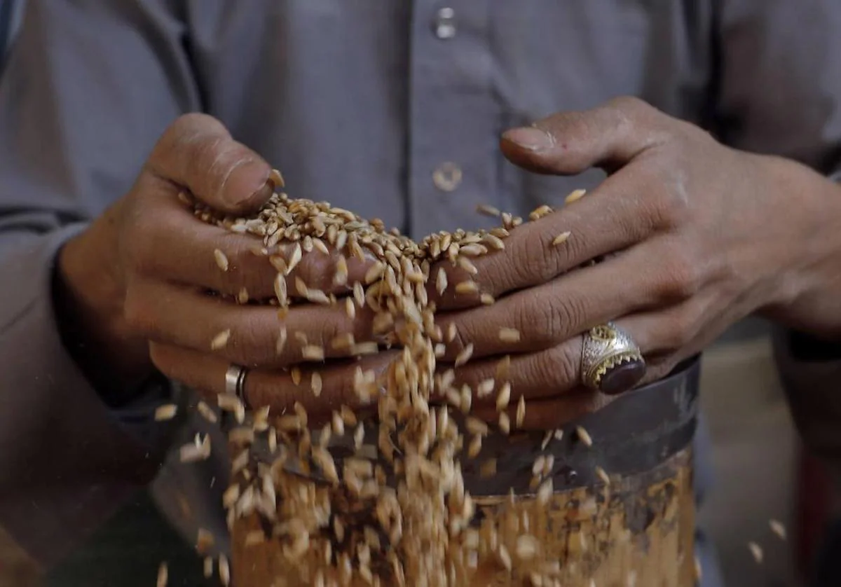 La Mundial - Mantén tus granos y cereales más frescos durante más tiempo  con el dispensador que encuentrasn en #LaMundialhn ¡Adquiérelo ya! Sólo en  #LaMundialhn #LoTieneTodo