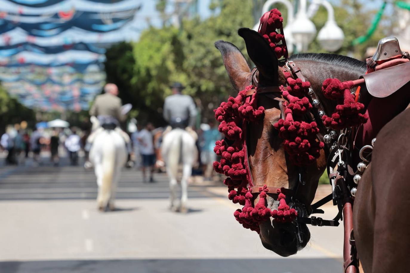 Las mejores imágenes del domingo en la Feria de Málaga 2023