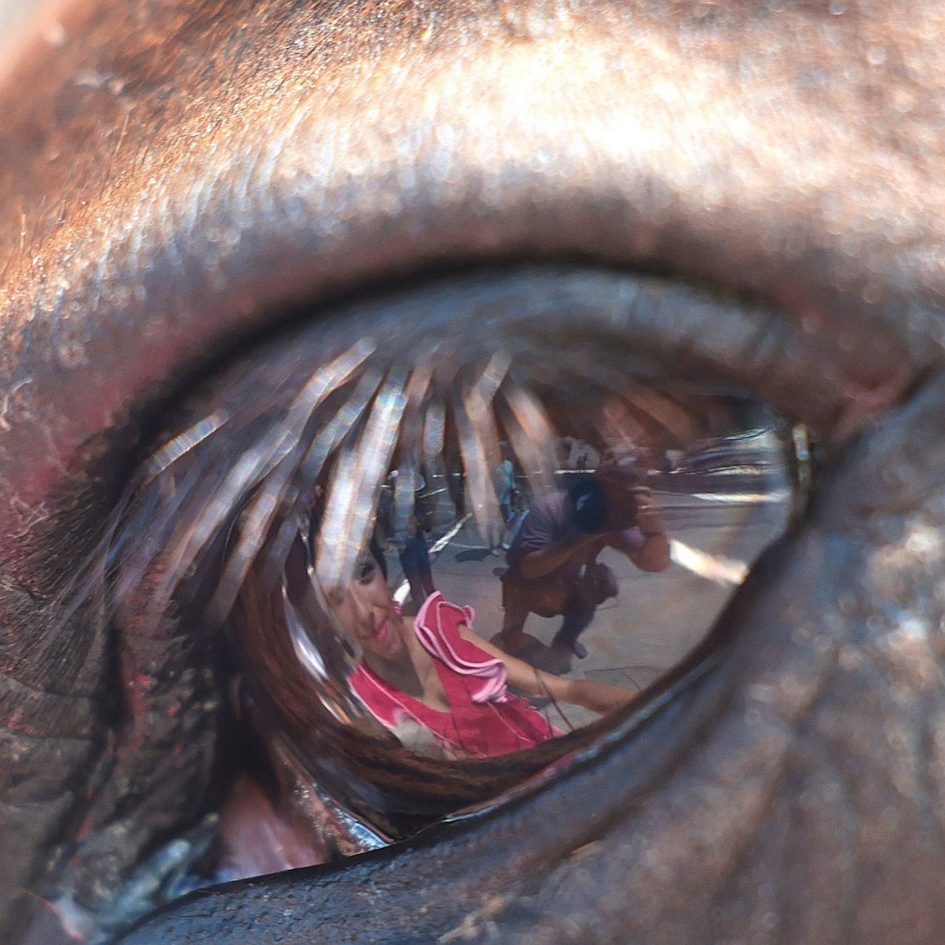 Reflejo de una mujer vestida de gitana en el ojo de su caballo