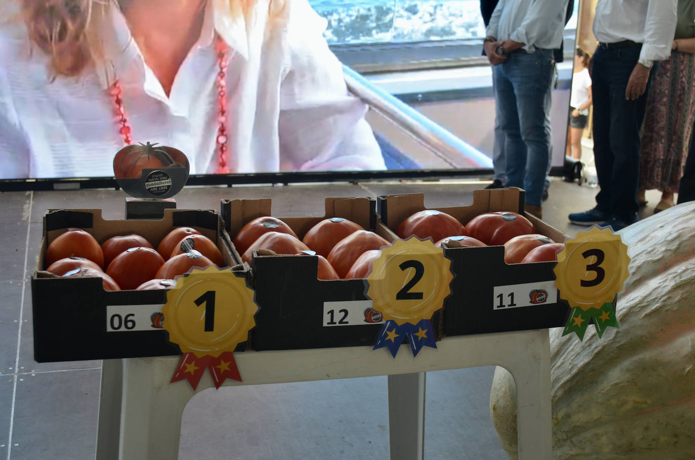 El mejor lote de tomate Huevo de Toro 2023