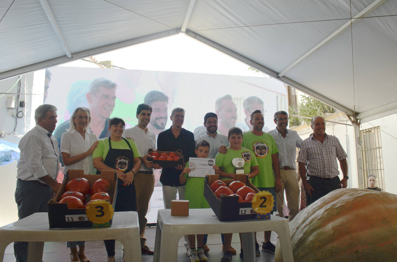 El mejor lote de tomate Huevo de Toro 2023