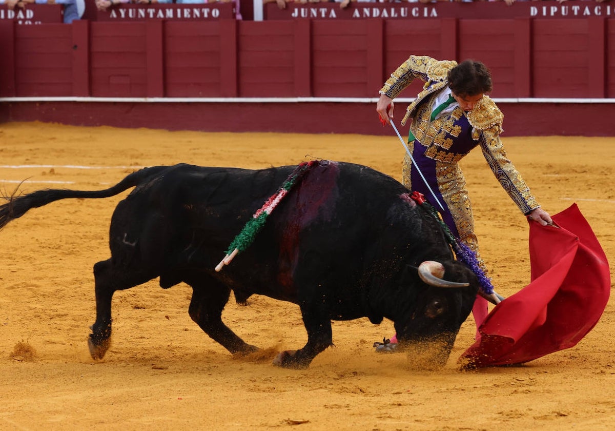 Natural de Santana Claros al primero de su lote.