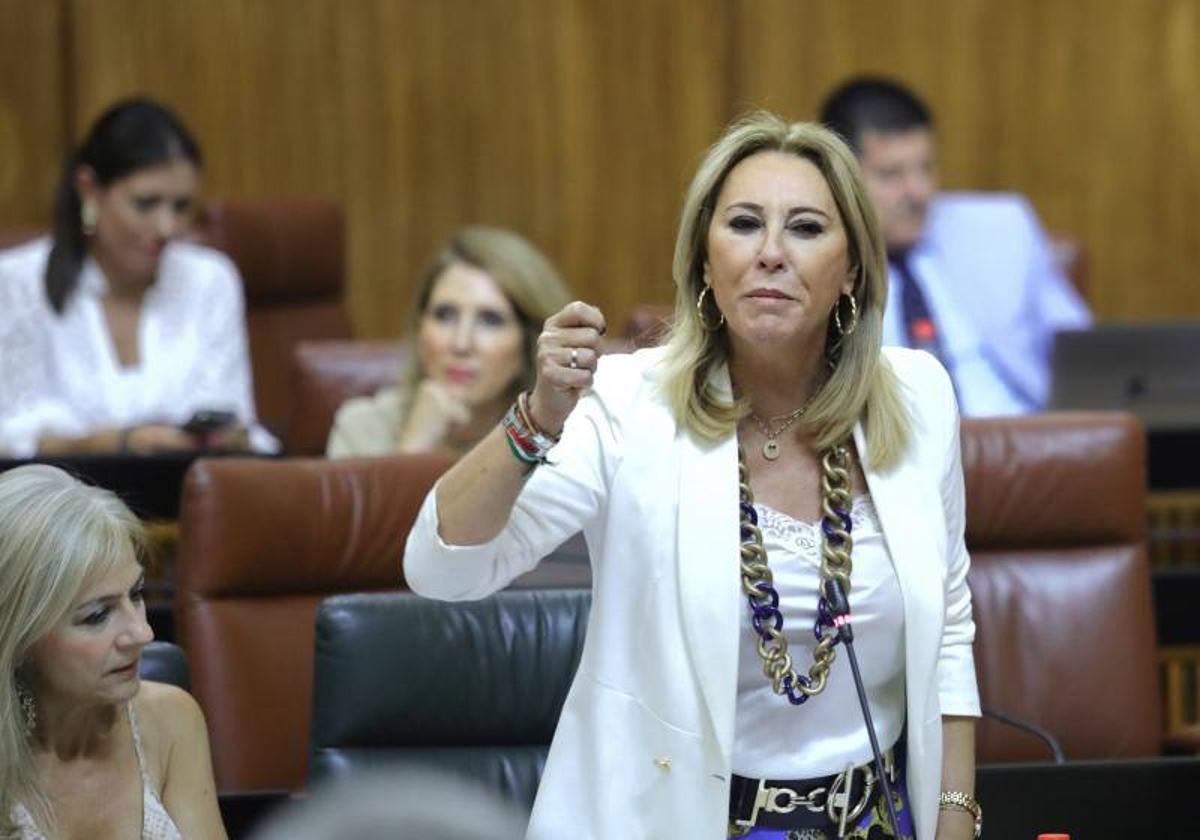 Carolina España, en una imagen de archivo en el Parlamento