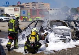 Efectivos del Consorcio Provincial de Bomberos, en las labores de extinción del fuego este martes en Vélez-Málaga.