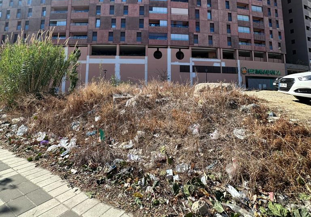 Vista de la suciedad enfrente del edificio.