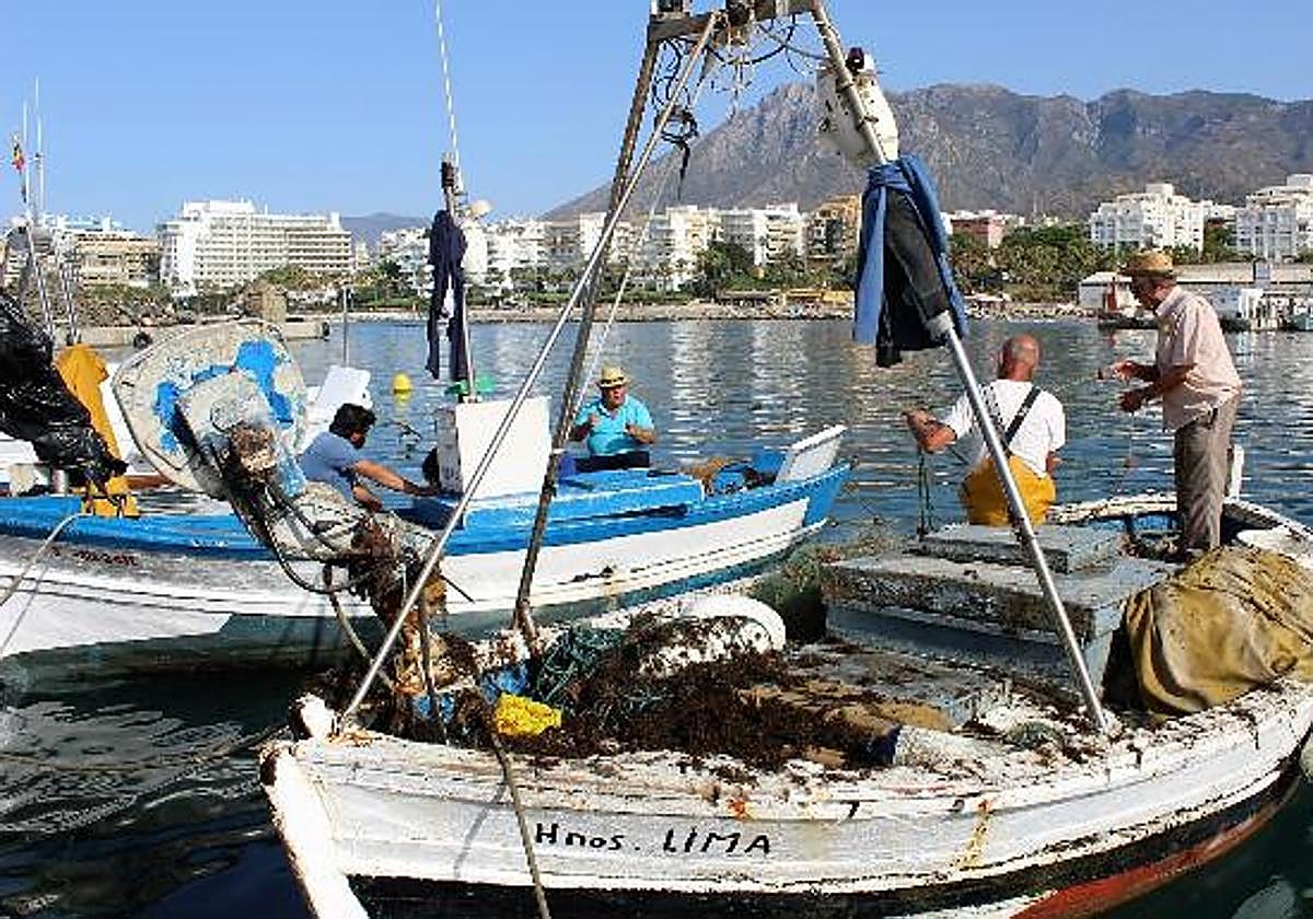 Agricultura publica un documento que recopila el marco normativo fiscal y laboral del sector pesquero
