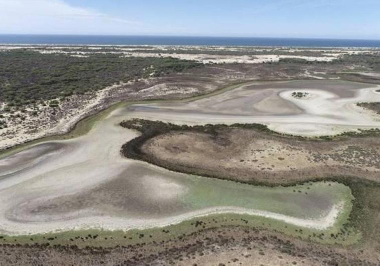 Ultimátum de la Unesco por la situación hídrica de Doñana