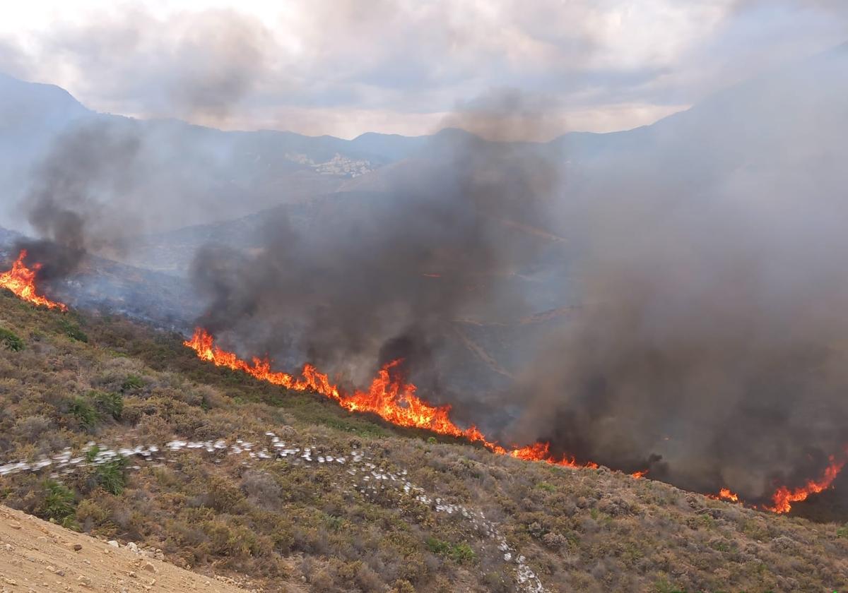 Extinguido el incendio forestal en Benahavís, que movilizó a un centenar de bomberos