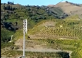 Imagen de una de las antenas acústicas instaladas en Vélez-Málaga.