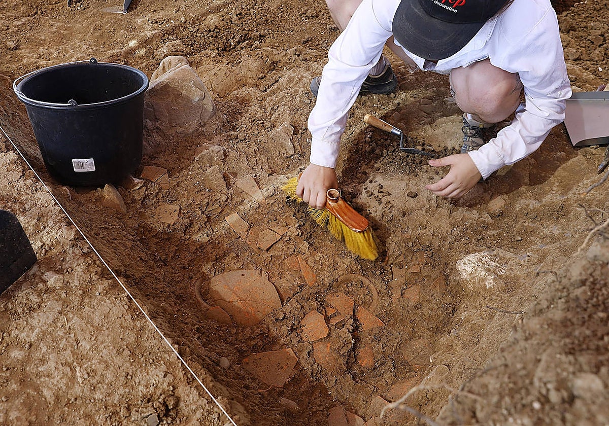 La aparición de ánforas es continua en esta segunda campaña.
