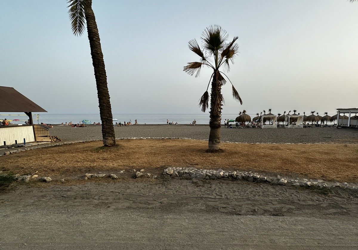 Imagen del estado en el que se encuentra uno de los oasis del paseo marítimo rinconero.