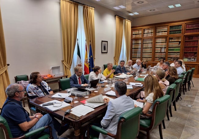 Imagen de la junta plenaria de la Fundación Cueva de Nerja.