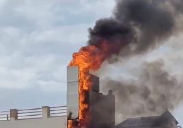 Imagen de la columna de fuego que ha provocado el incendio este jueves en Nerja.