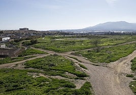Los suelos de Buenavista están junto al terreno que dejó la fábrica de Amoniaco.