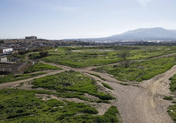 Los suelos de Buenavista están junto al terreno que dejó la fábrica de Amoniaco.