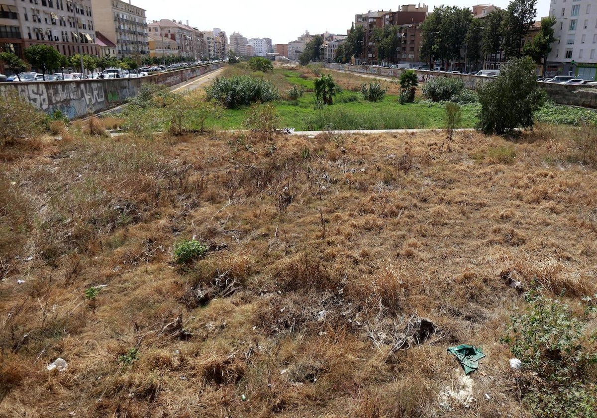 La vegetación ha invadido el entorno del puente de Armiñán, donde también se acumulan numerosos desperdicios.