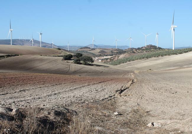 Para llegar al ecuador del sendero hay que afrontar un incómodo tramo por el Camino de la Rana.