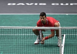 Novak Djokovic, en un parrtido de dobles jugado en Valencia.