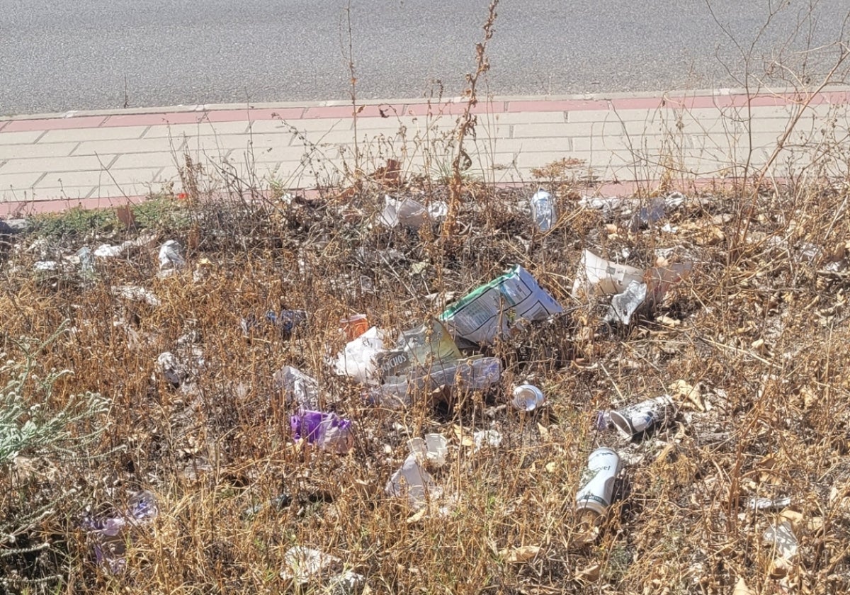 Vista de la basura acumulada.