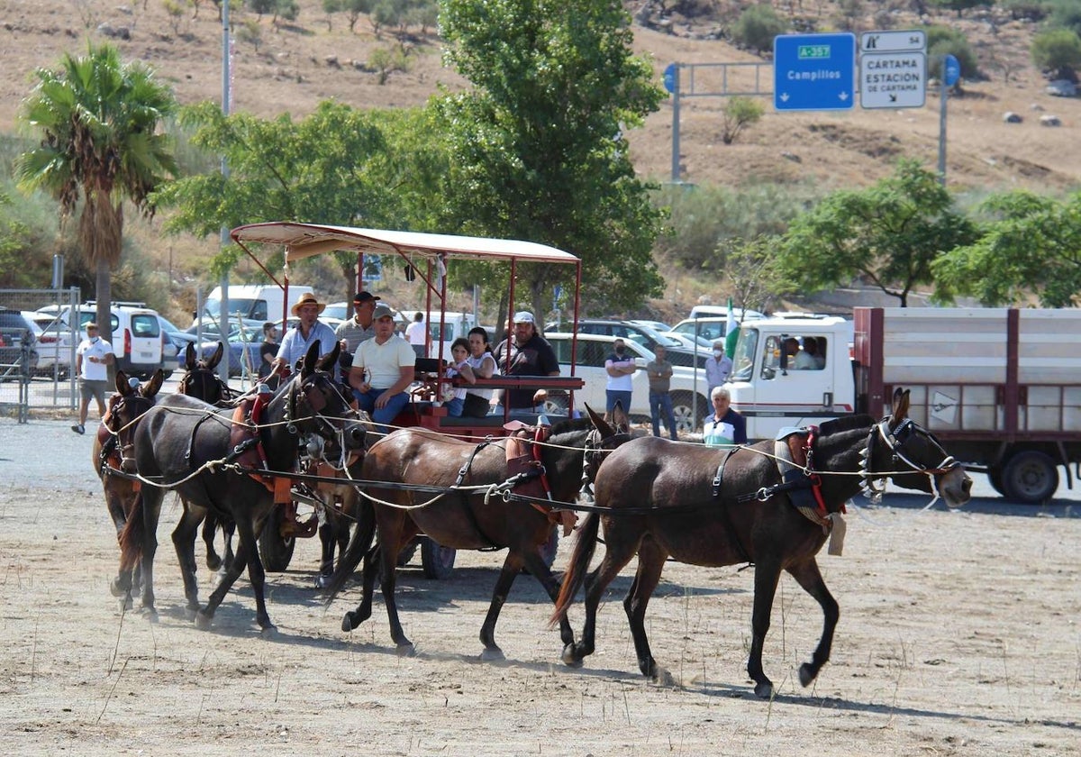 Imagen de archivo de la Feria de Ganado de Cártama de 2022.