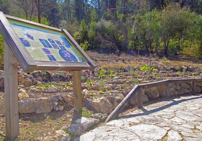 En el jardín de El Castillejo se puede encontrar la flora autóctona de la zona.