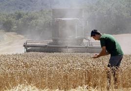 La Junta reclama una «fórmula laboral y fiscal específica para el campo» por sus «peculiaridades»