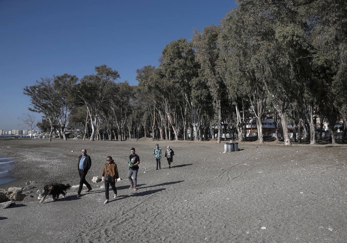 El parque fluvial está previsto en los terrenos que ocupó antiguamente el 'camping'.