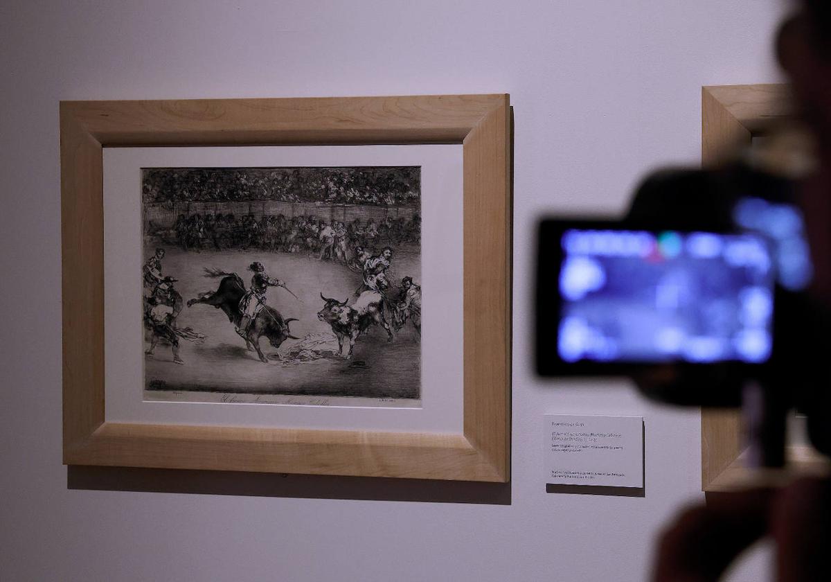 La exposición &#039;Goya / Picasso. Tauromaquias&#039;, en imágenes