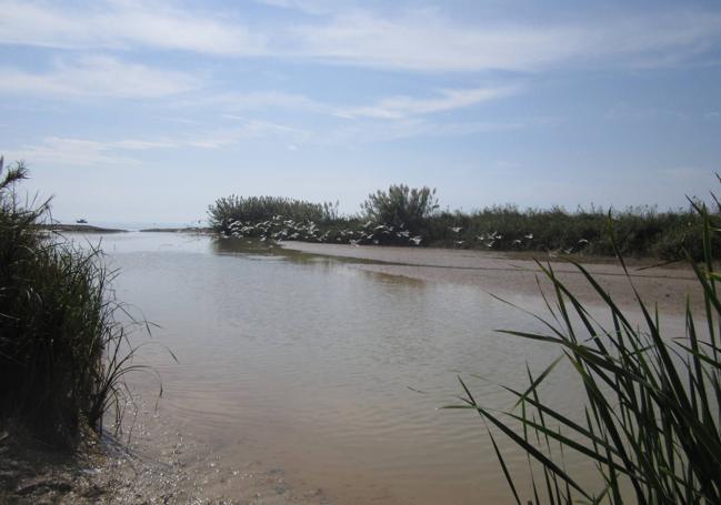 Delta o desembocadura del río Vélez.