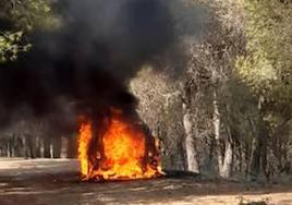 Imagen del vehículo ardiendo este viernes al mediodía.