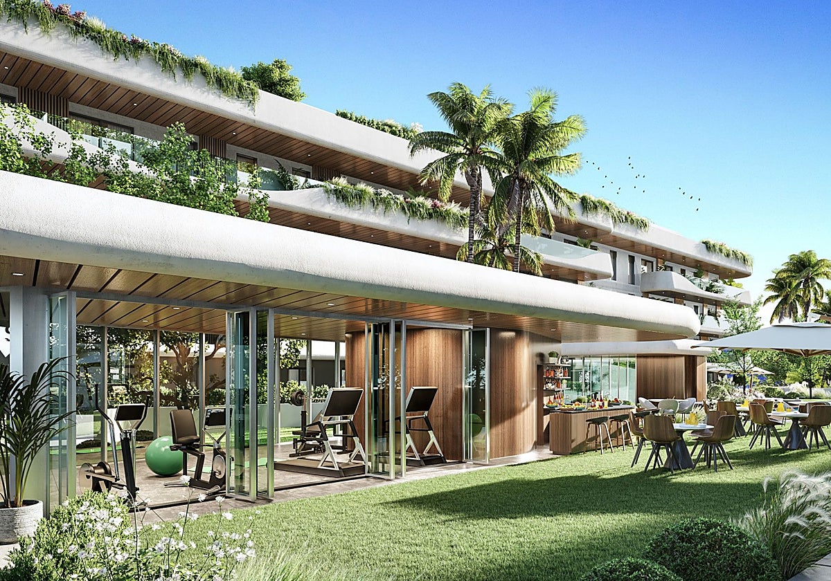 Infografía del proyecto.