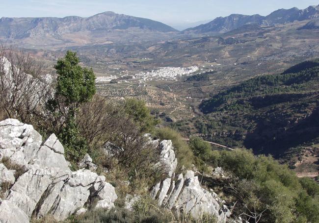 Vista panorámica de El Burgo y el Valle del Turón desde el mirador del Guarda Forestal