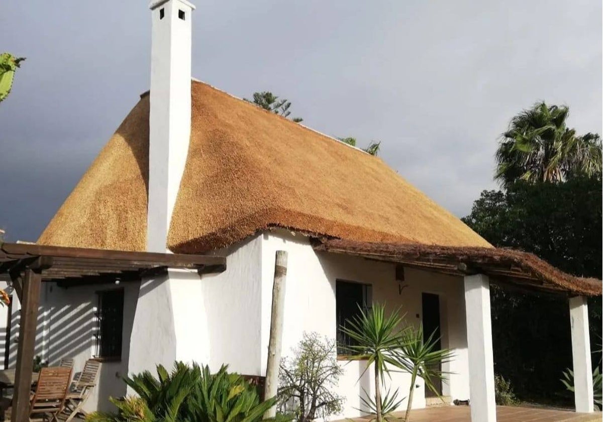 Imagen de archivo de una casa con cubierta vegetal.