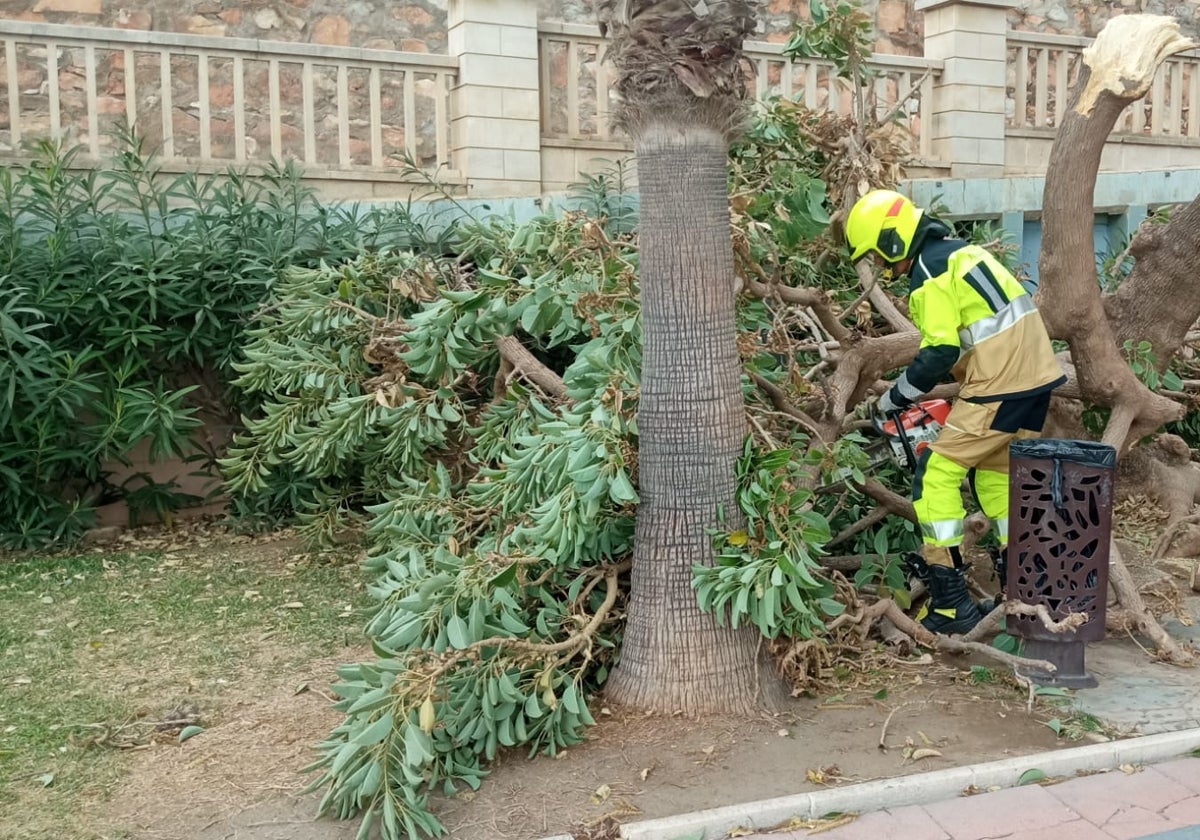 Ordenan el cierre de parques en los municipios de la Costa por las fuertes rachas de viento