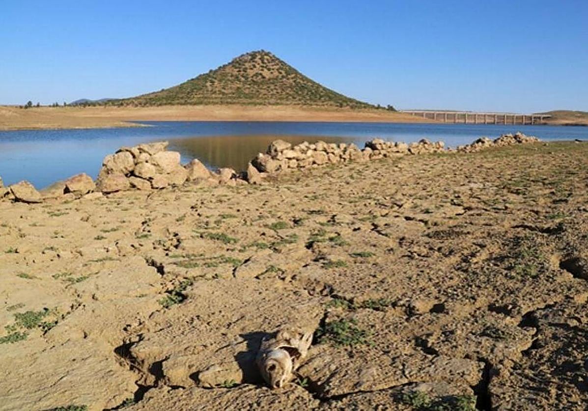 La Junta no baja la guardia en su alarma por la grave sequía pese a las últimas lluvias